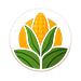 Feldsly logo